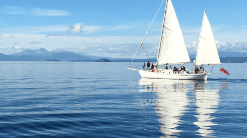 A Smooth Sailing Guide To Dealing With Memory Loss And Finance